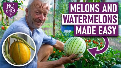 melosn tube|Melons